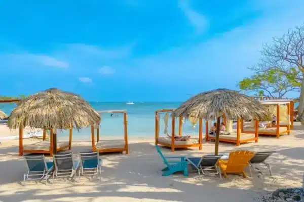 Pasadia Isla Coco Loco - Image 13