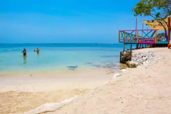 Pasadia Isla Coco Loco - Image 12