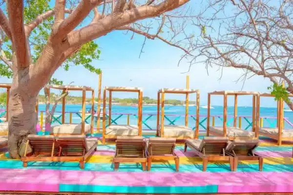 Pasadia Isla Coco Loco - Image 5